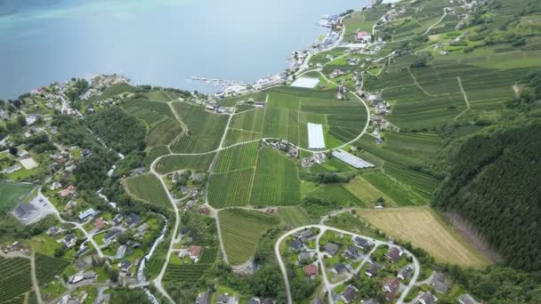 Fiordo Campi Insediamento Norvegia Intorno Alle Montagne Filmati Alta Qualità — Video Stock