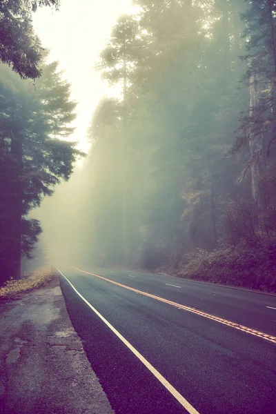 Mystérieuse Route Brumeuse Forêt Nationale Séquoias Californie — Photo