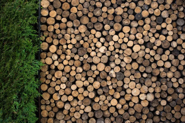 Großer Holzstapel Schön Gestapelt Einem Abstellraum Hinterhof Neben Dem Thuja — Stockfoto