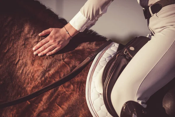 Dişi Binicisi Boynuna Okşuyor Eğlence Spor Atı Binicilik Teması — Stok fotoğraf