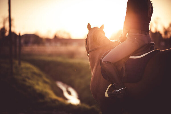 Horse rider at sunset. Equestrian theme.