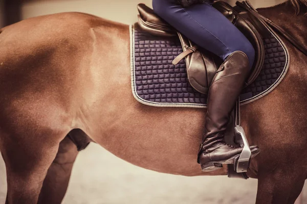 Paardrijder Het Paard Klaar Springen Training Paardensport Thema — Stockfoto