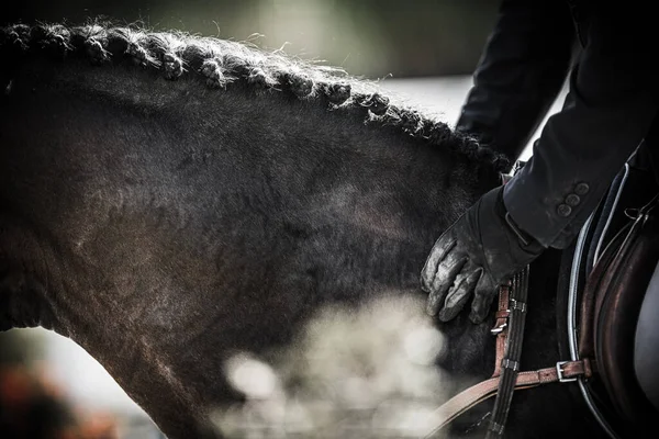 Close Van Show Jumping Horse Rider Het Verlaten Van Het — Stockfoto
