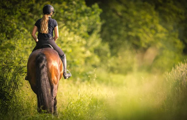 Meisje Ruiter Het Groene Veld Bomen Achtergrond Paardensport Thema — Stockfoto