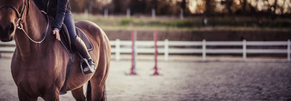 Gelukkige Ruiter Kloppend Paard Parkour Achtergrond Paardensport Thema Kopieerruimte — Stockfoto