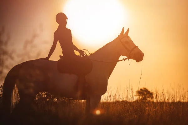 Het Silhouet Van Een Ruiter Haar Paard Tegen Achtergrond Van — Stockfoto