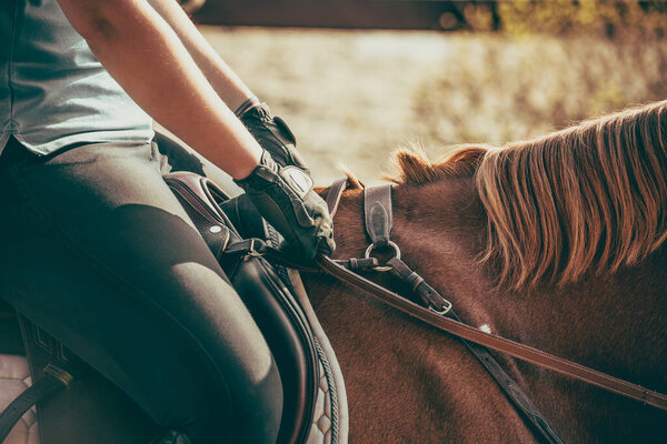 Caucasian Rider Sitting in the Saddle on a Horse Holding Reins During Horseback Riding Training. Equestrian Equipment Closeup.