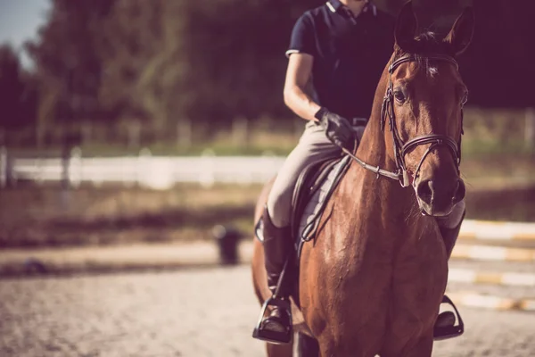 Paardrijder Een Parkour Een Ruitertraining Springtraining Tonen — Stockfoto