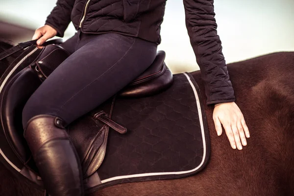 サイドビュー女性ライダーの閉鎖サドルタッチに座って馬の背中を撫でる 馬術のテーマ ロイヤリティフリーのストック画像