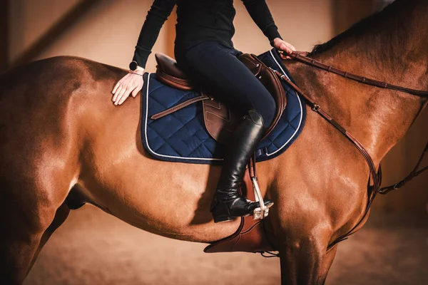 高級ブラウンレザー機器を身に着けている屋内乗馬アリーナ内の馬に女性ライダーのサイドビュー 乗馬スタイルとファッション ストックフォト