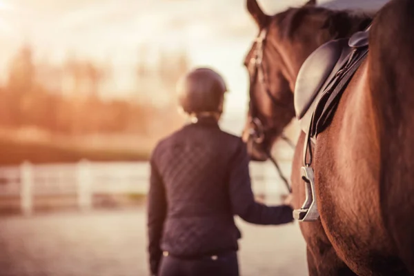 乗馬の女の子は彼女の馬の友人と一緒に立っている 馬術競技のテーマ ストックフォト