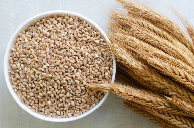 Buğday, arka planda kulakları olan beyaz bir kasede büyür. Kırsal tarzda. Sağlıklı gıda kavramı. Yatay oryantasyon. Üst görünüm