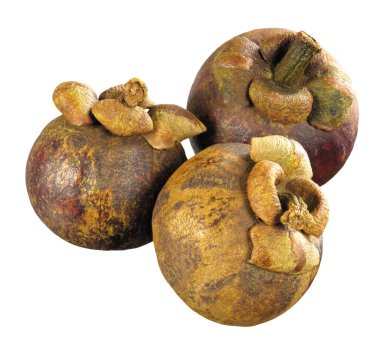 Topla Tropik meyve mangosteen