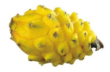 Koleksiyon Tropikal meyveler sarı pitahaya ejderha meyvesi