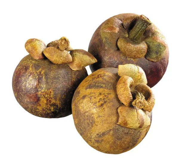 Topla Tropik meyve mangosteen