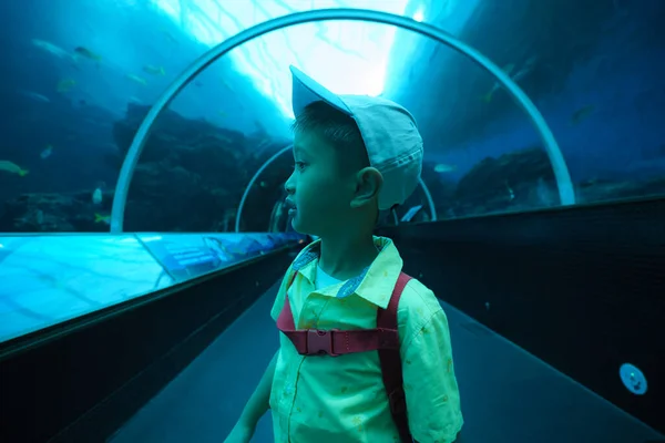 Niño Asiático Pie Túnel Submarino Acuario Niños Mirando Emocionados Divertidos —  Fotos de Stock
