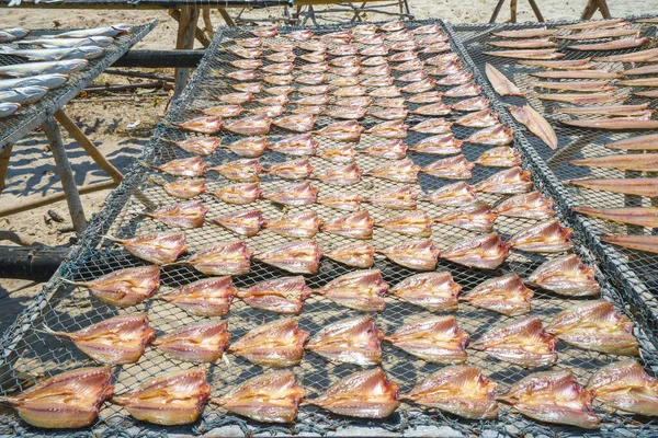 Lginç Bir Balıkçı Köyünde Güneşte Kurutulmuş Kızartılmış Balıklar Taze Yakalanan Stok Resim