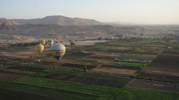 Luxor Mısır Afrika Üzerinde Uçan Balonlar — Stok fotoğraf