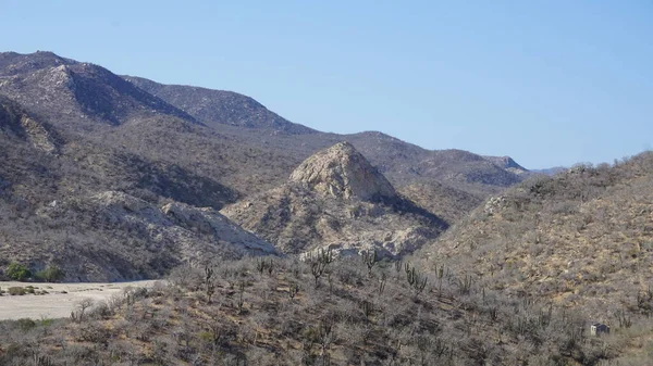Semi Desert Landscape Baja California Del Sur Mexico — Stock Photo, Image