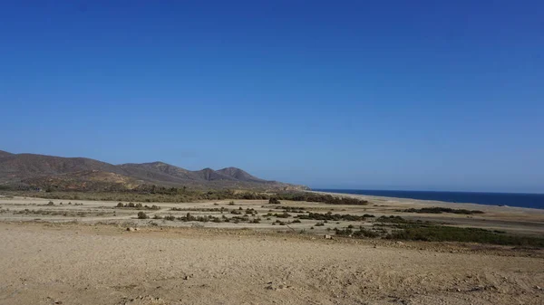 Polopouštní Krajina Baja California Del Sur Mexiko — Stock fotografie