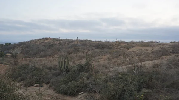 墨西哥南下加利福尼亚的半沙漠景观 — 图库照片