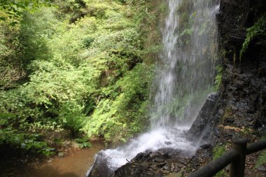 Lugo, Galiçya, İspanya 'da manzara