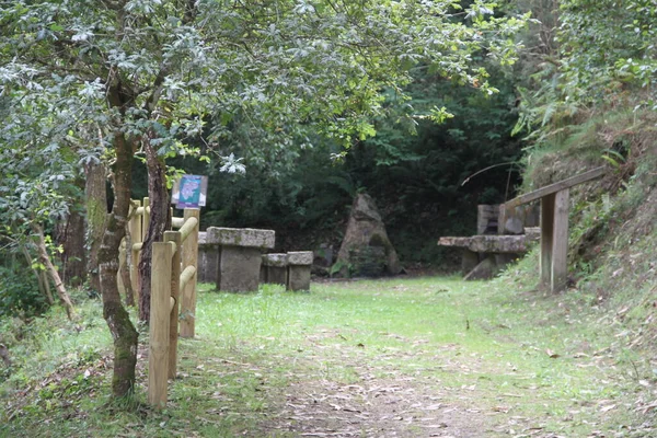 Lugo, Galiçya, İspanya 'da manzara