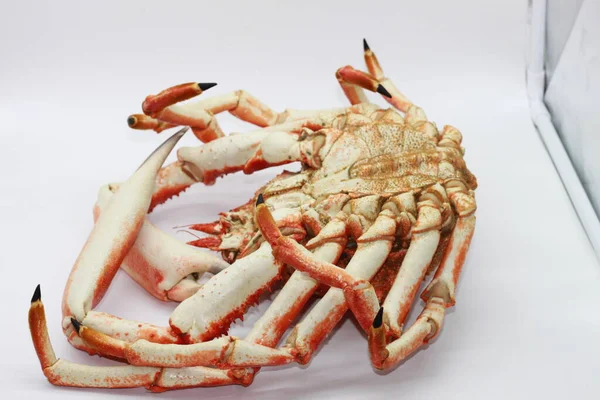 Cooked Spider Crab White Background — Stock Photo, Image