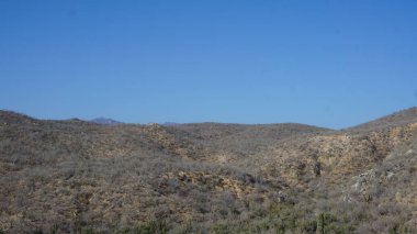 Los Cabos 'ta yarı çöl manzarası, Baja California del Sur, Meksika