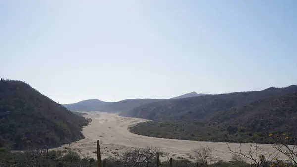 Semi Desert Landscape Los Cabos Baja California Del Sur Mexico — Stock Photo, Image