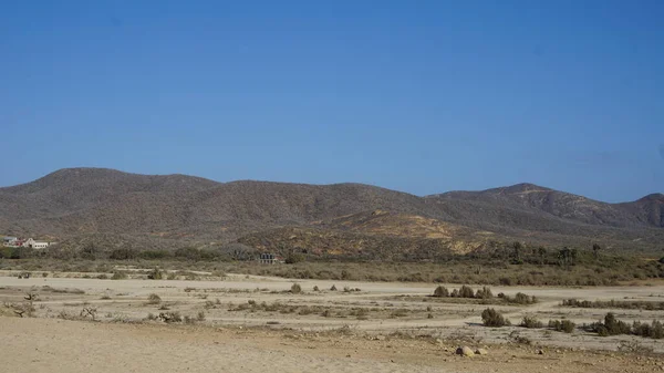 Los Cabos Yarı Çöl Manzarası Baja California Del Sur Meksika — Stok fotoğraf