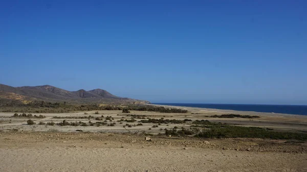 Semi Woestijnlandschap San Luis Potosí Mexico — Stockfoto