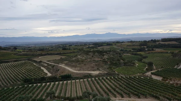 Szőlőültetvények Táj Rioja — Stock Fotó