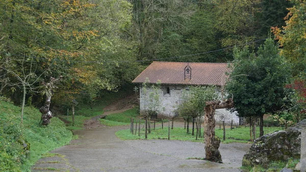 Paisaje Rural Del País Vasco Otoño — Foto de Stock