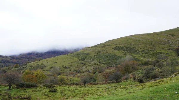 Die Ländliche Landschaft Des Baskenlandes Herbst — Stockfoto
