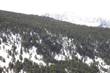 Andorra 'daki Pireneler' in dağlarında kar ve kayak manzarası