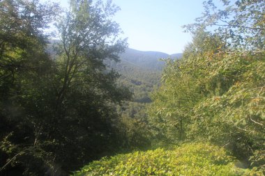 Gipuzkoa 'daki dağ manzarası, Bask Ülkesi