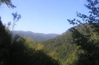 Gipuzkoa 'daki dağ manzarası, Bask Ülkesi