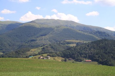 Gipuzkoa 'daki dağ manzarası, Bask Ülkesi