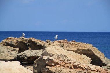 Yaz sonunda İbiza 'nın manzarası