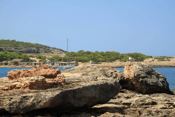 Landscape Ibiza End Summer — Stock Photo, Image