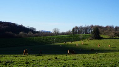 Nature landscape of the mountains of the Basque Country on Mount Ernio in Gipuzkoa