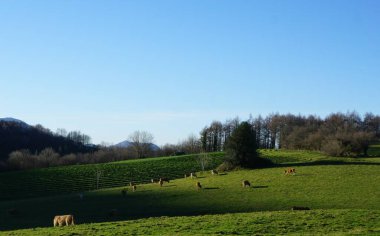 Rural mountain landscape on Mount Ernio, in Gipuzkoa, Basque Country
