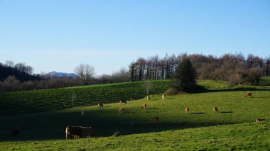 Rural mountain landscape on Mount Ernio, in Gipuzkoa, Basque Country