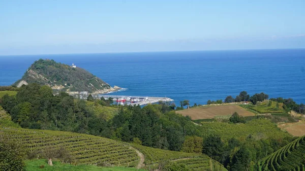 Getaria, Gipuzkoa, Basque Country, November, 19, 2022: Landscape of Vineyards in Getaria, Basque Country