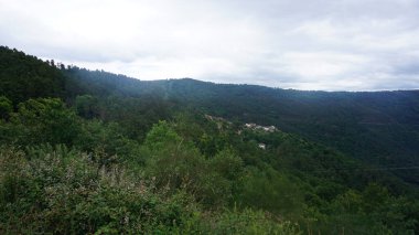 Galiçya, İspanya 'daki Ribeira Sacra' nın yeşil manzarası