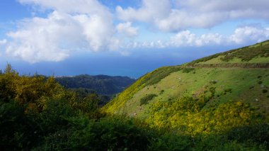 Portekiz 'in Madeira adasının kuzeyindeki manzaralar