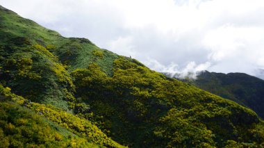 Portekiz 'in Madeira adasının kuzeyindeki manzaralar