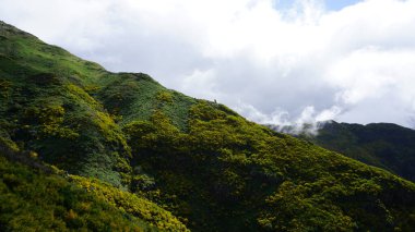 Portekiz 'in Madeira adasının kuzeyindeki manzaralar