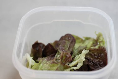 clean lettuce leaves to prepare a salad